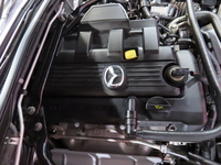 13443f91 c39e 4bf8 9358 62006cc52446 sm
